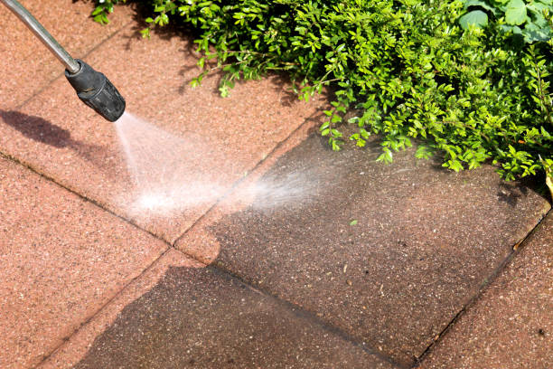 Best Power Washing Near Me  in Warren, PA